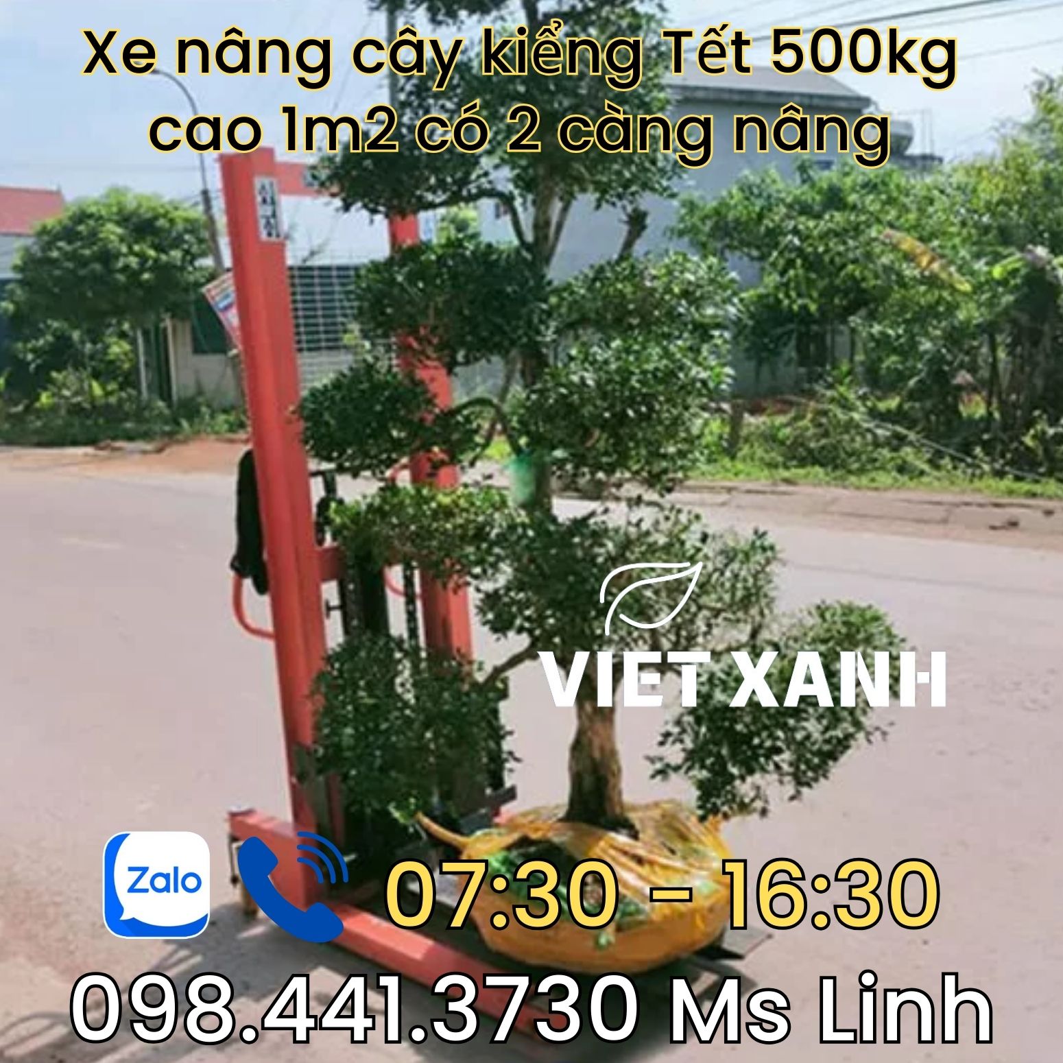 Xe nâng cao 1m2 nâng cây cảnh tết